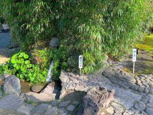 天赦園　庭園北側の散策路の様子