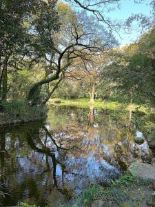 天赦園　庭園北側の散策路から池泉を望むの様子