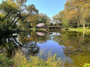 天赦園　庭園北側の散策路から池泉を望むの様子