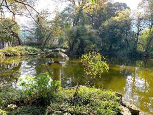 天赦園　庭園西の散策路から東側の様子