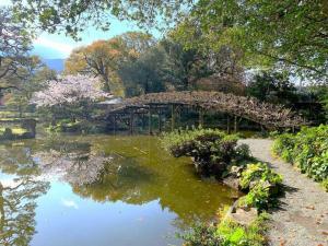 天赦園　庭園北側から池泉に沿って西の散策路を南側へ