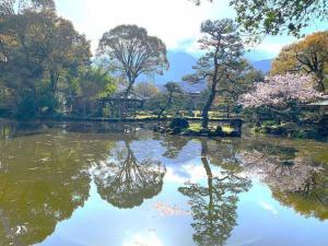 天赦園　庭園西の散策路から東側の様子