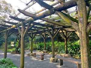 天赦園　野田藤