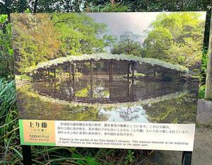 天赦園　上り藤＝白玉藤