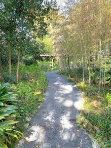 天赦園　庭園南側の散策路の様子