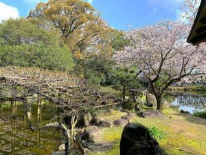 天赦園　東屋付近からの景色
