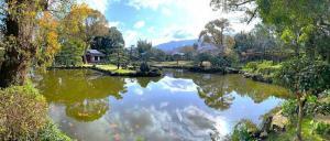 天赦園　東屋付近からの景色