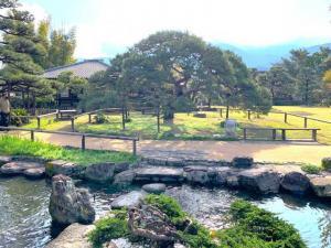 天赦園　大多行松（多幸松）