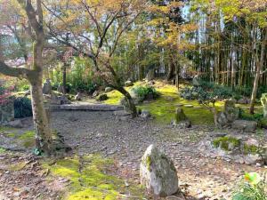 天赦園　枯れ川
