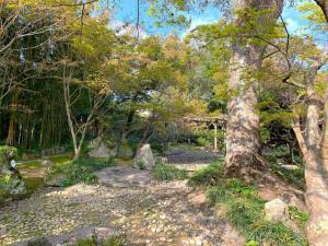 天赦園　枯れ川