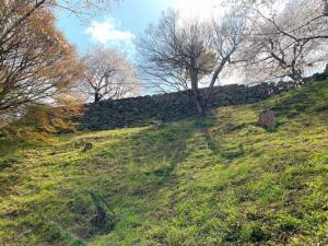 大洲城水の手櫓・水の手御門跡付近の様子