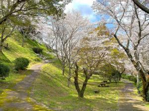 大洲城水の手櫓・水の手御門跡付近の様子