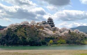 大洲城遠望　肱川対岸から