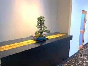 道後温泉・八千代：フロント階の様子