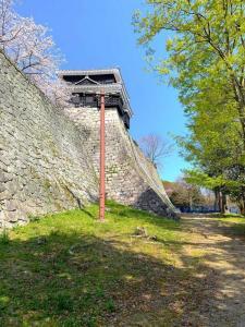 松山城 太鼓門脇の巽櫓とそれを支える石垣