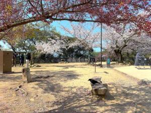 松山城 待合番所跡