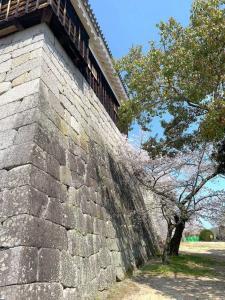 松山城 本壇東側面の石垣