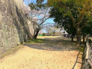 松山城 本壇東側の本丸