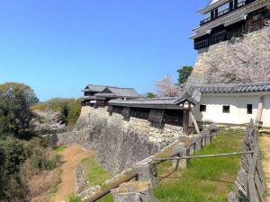 松山城 紫竹門付近からの本丸石垣(乾門方面)
