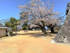 松山城 本丸:本壇西側