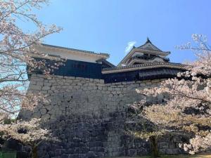 松山城 本壇北側の石垣と天守群