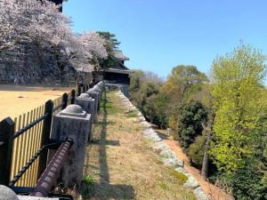 松山城 本丸北側の石垣(本丸より)