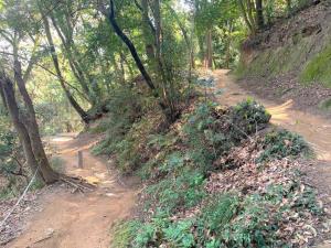 松山城 古町口方面への登城路