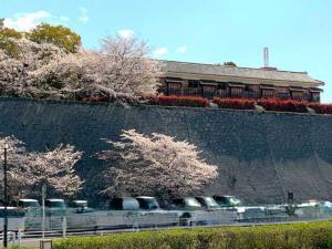 松山城 古町口~黒門口の様子(二の丸庭園の多聞櫓)