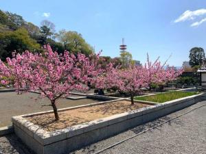 松山城 二之丸庭園内部 米蔵