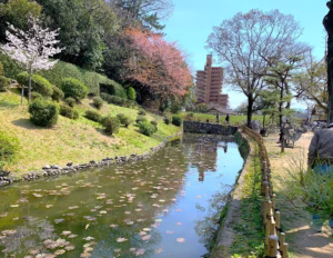 湯築城跡 内堀・土塁