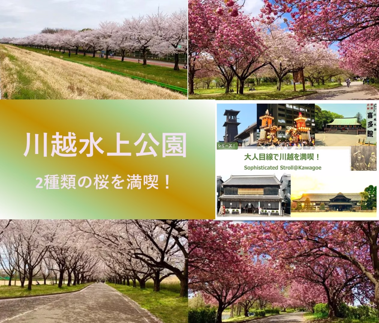 大人目線で川越を満喫シリーズ 川越水上公園