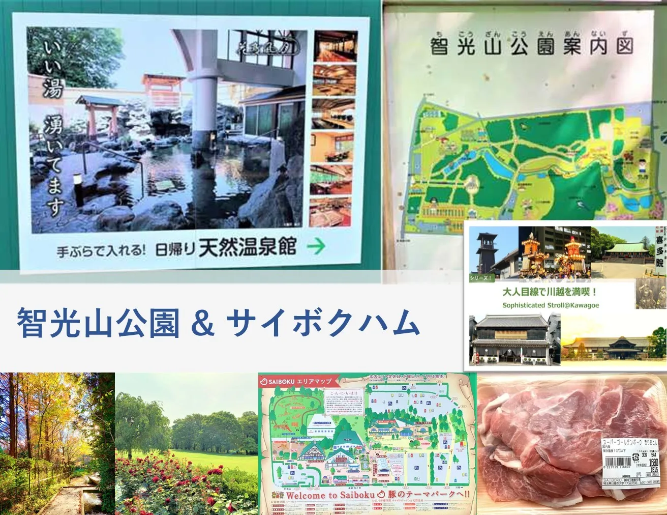 大人目線で川越を満喫シリーズ 智光山・サイボク