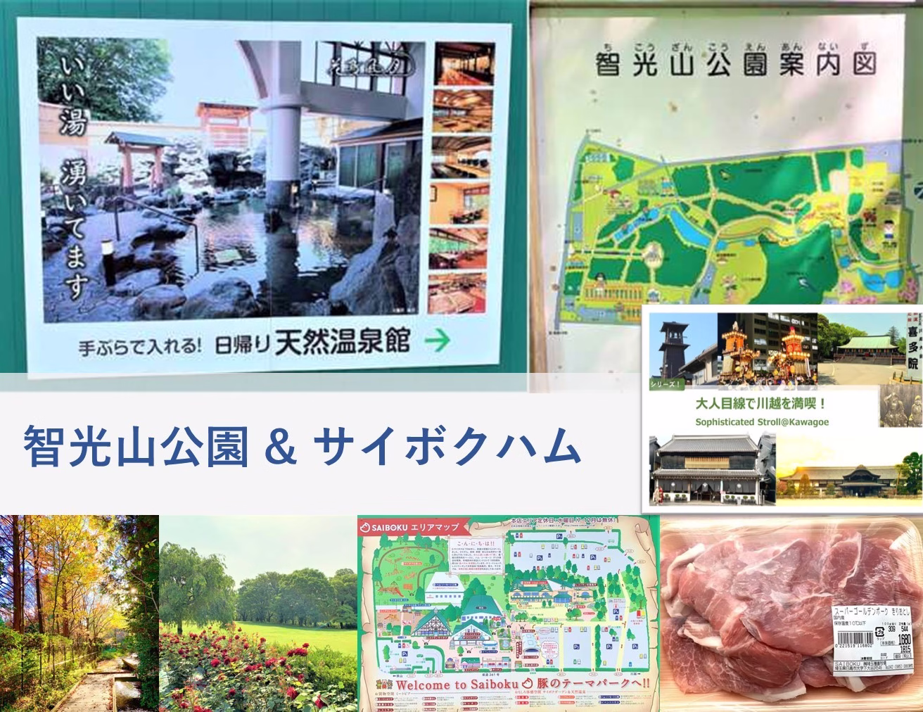大人目線で川越を満喫シリーズ 智光山・サイボク