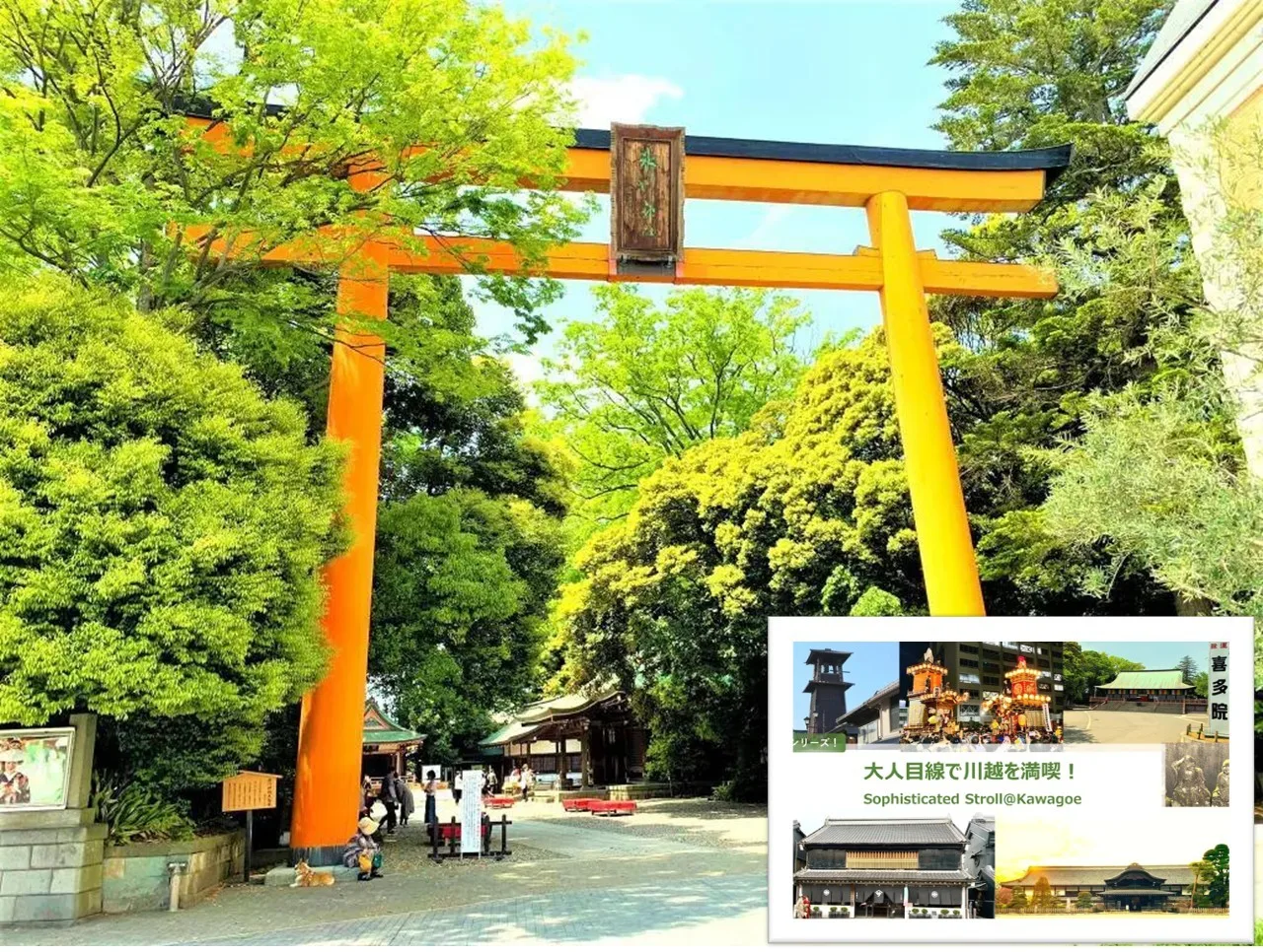 大人目線で川越を満喫シリーズ 川越氷川神社