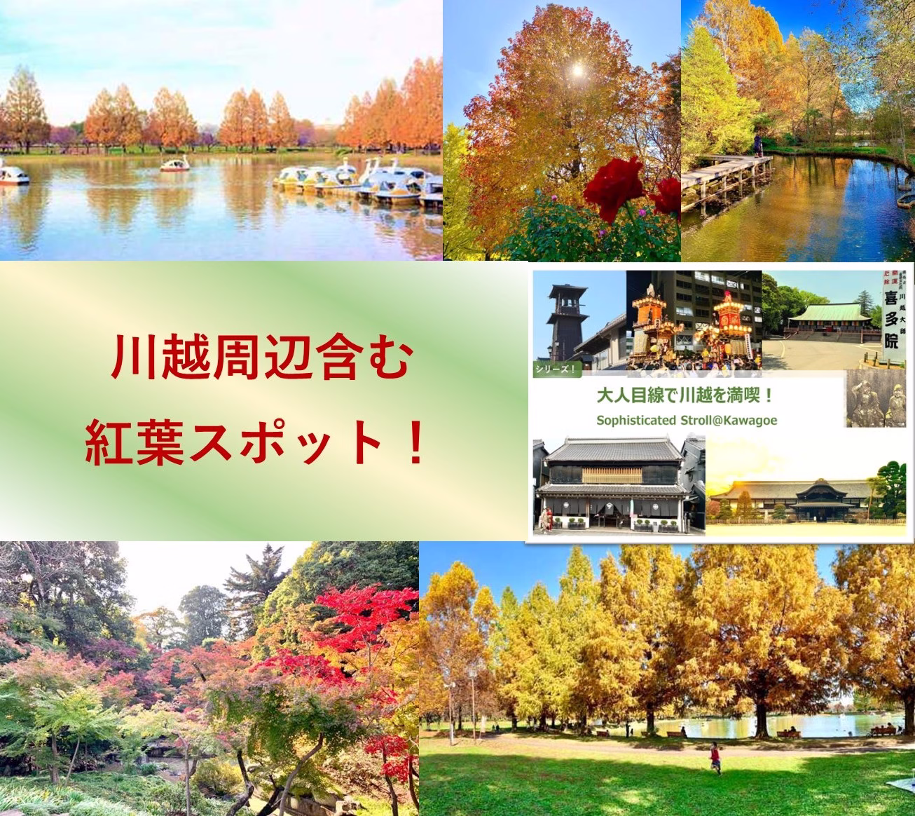大人目線で川越を満喫シリーズ 紅葉スポット