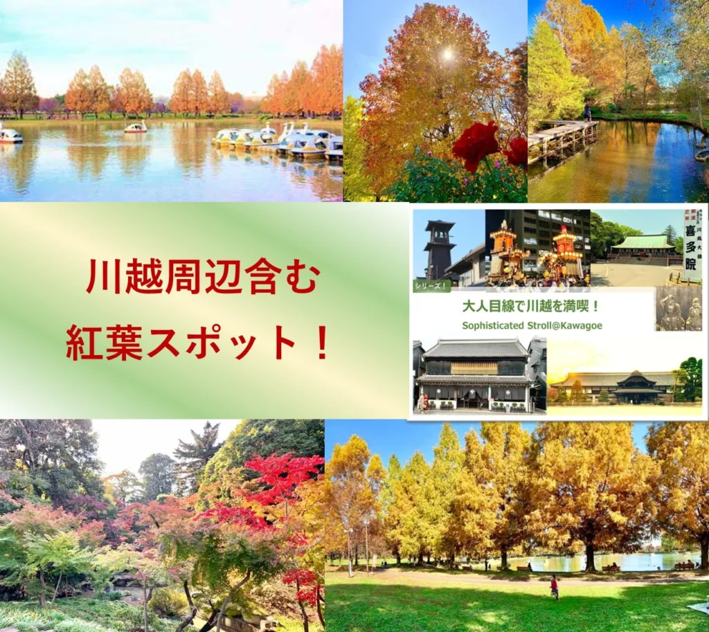 大人目線で川越を満喫シリーズ 紅葉スポット