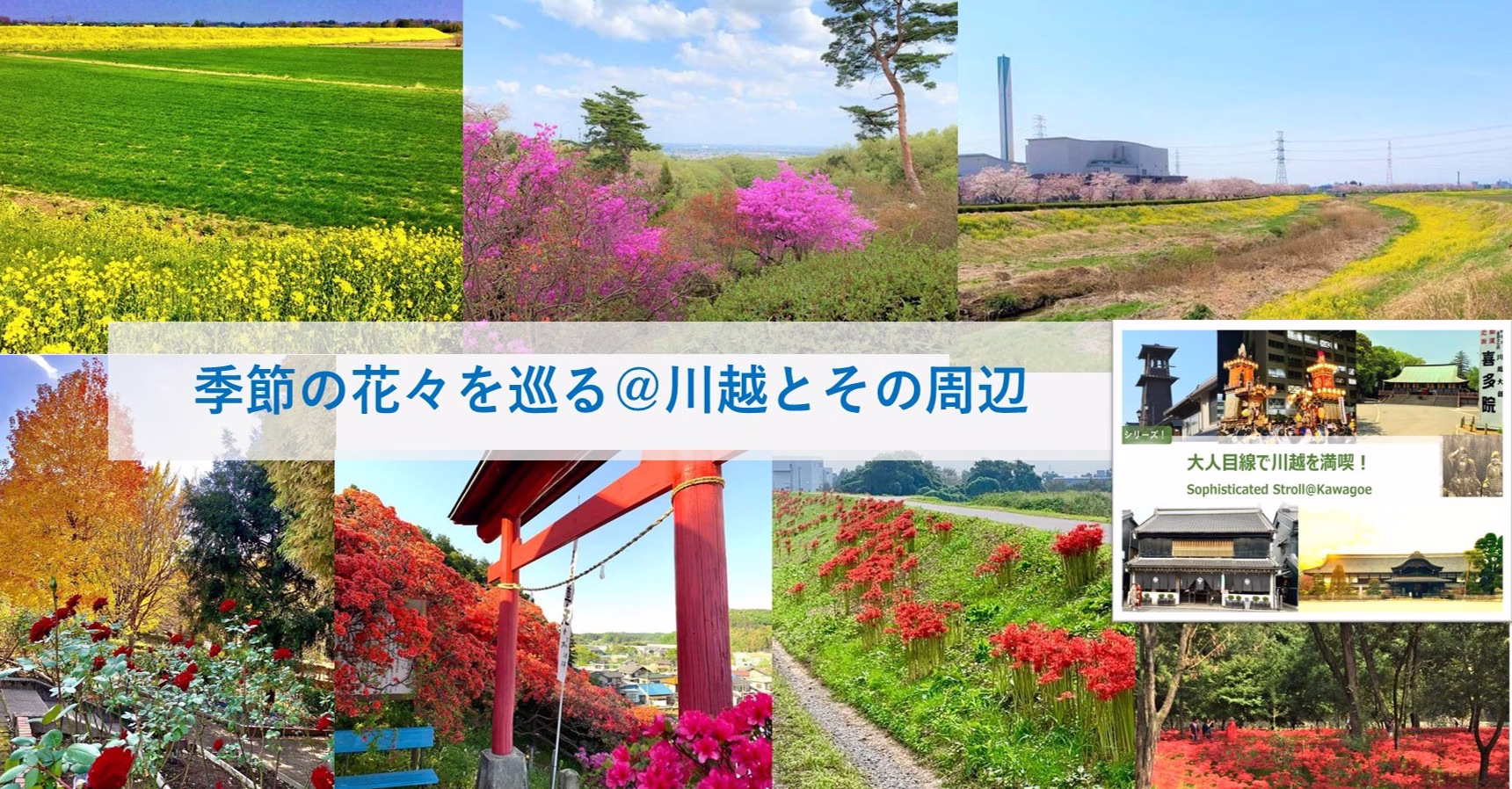 大人目線で川越を満喫シリーズ 季節の花々ポタリング