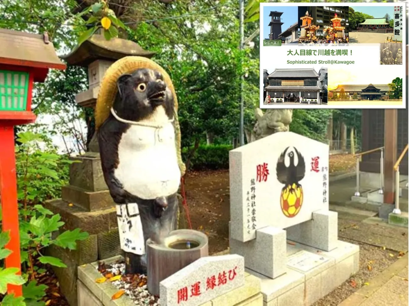 大人目線で川越を満喫シリーズ 後半戦：みずほ台～ふじみ野～川越大人散策