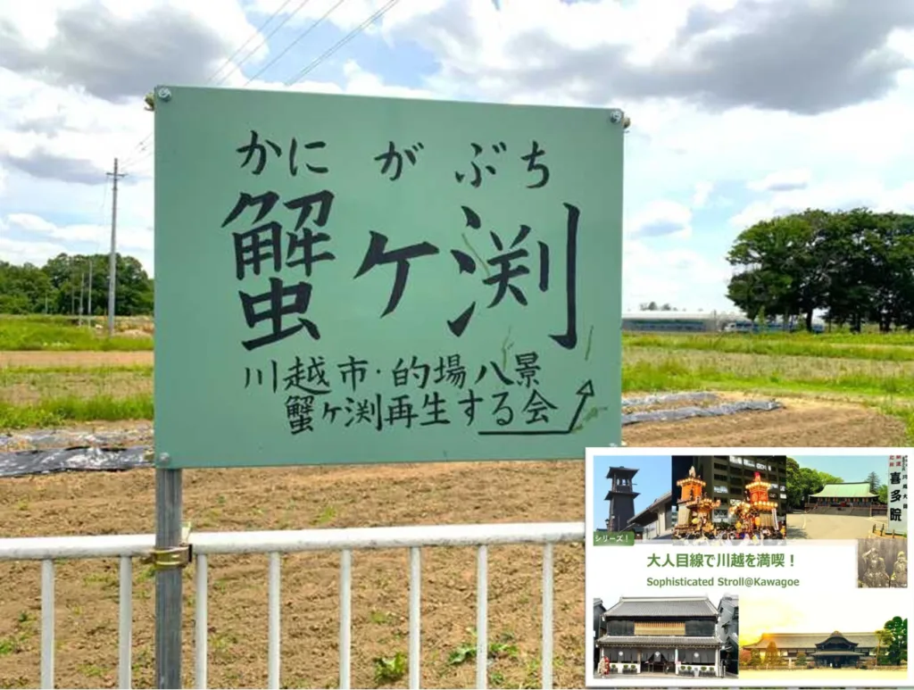 大人目線で川越を満喫シリーズ 的場八景