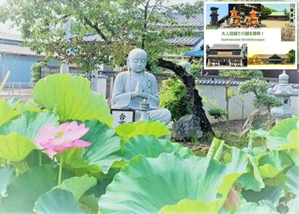 大人目線で川越を満喫シリーズ 蓮(ハス)を求めて大人ポタリング