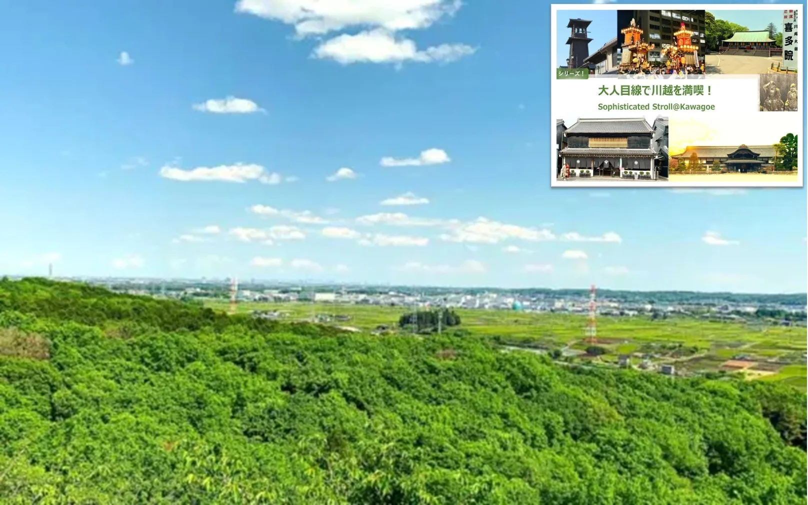 大人目線で川越を満喫シリーズ 金子駅～加治丘陵～入間市駅