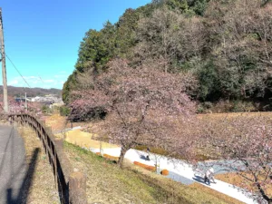 明覚・桃木農村公園