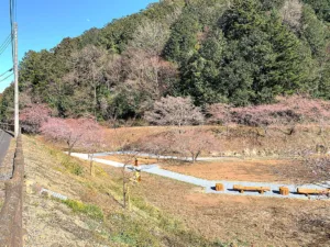 明覚・桃木農村公園