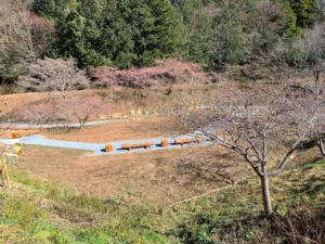 明覚・桃木農村公園