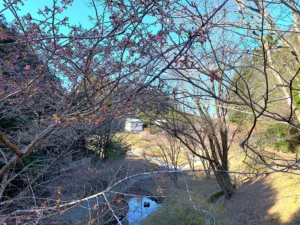 明覚・桃木農村公園