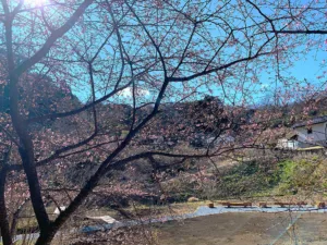 明覚・桃木農村公園