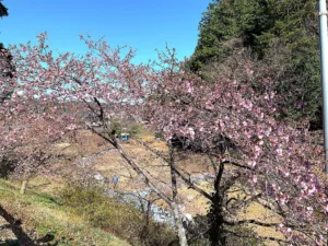 明覚・桃木農村公園