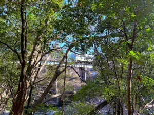 明神淵から少し上流の八高線の陸橋