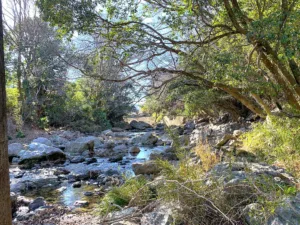 明神淵から少し上流の様子