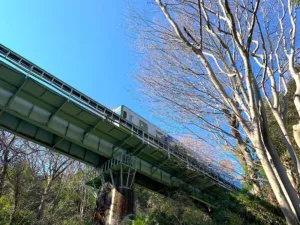 明神淵から少し上流の八高線の陸橋